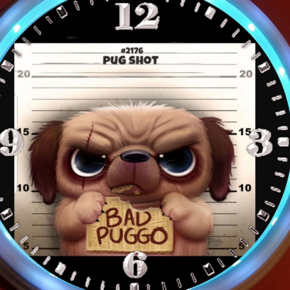 Pooch on the lose